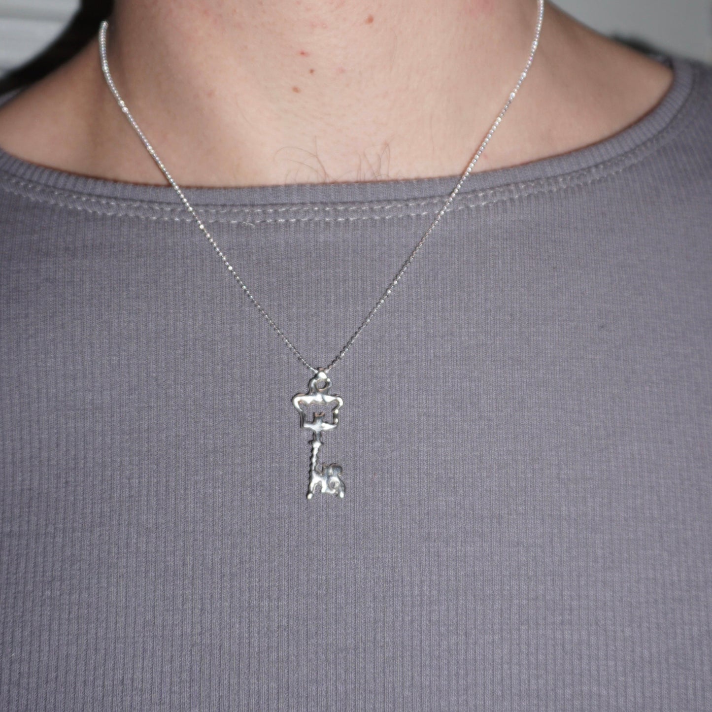 Secret Key Charm